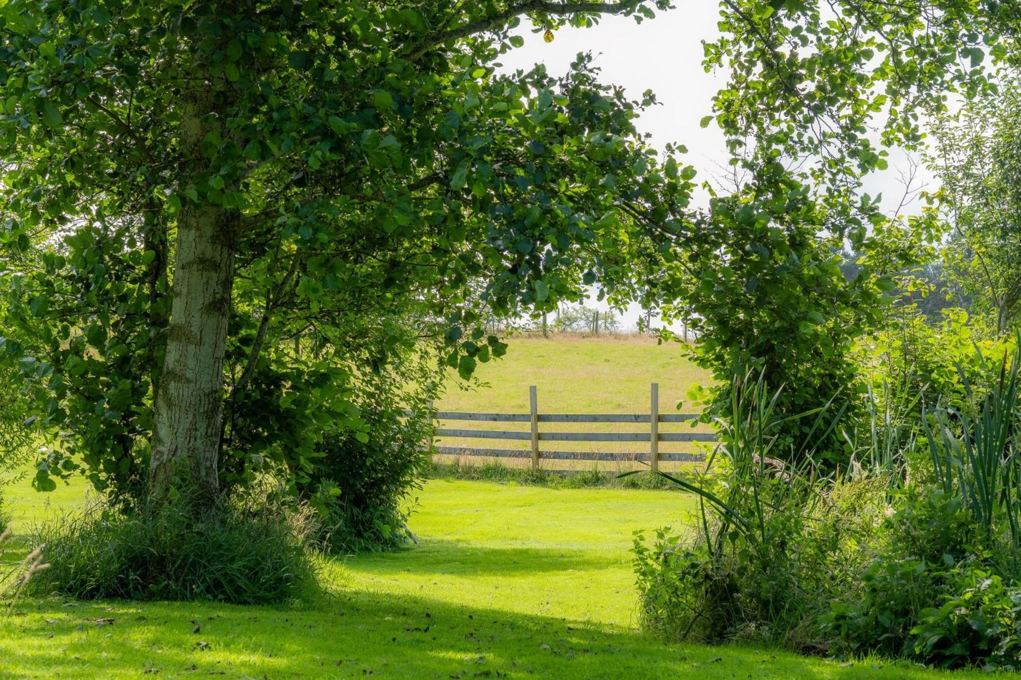 Marcassie Farm Lodges - Blackthorn Studio Forres Exteriér fotografie